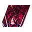 Cursed Forest