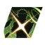 Cyclops Rising