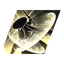 Demon Blade: Raging Wind