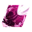 Asuka Special