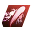 Tbl_UnitSkill_Name_19101