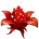 Advanced Fruit of Origin
