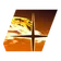 Skill