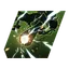 Linear Thunder