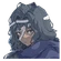 Selena Base icon