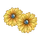 Sunflower Seal