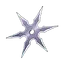 Weapon